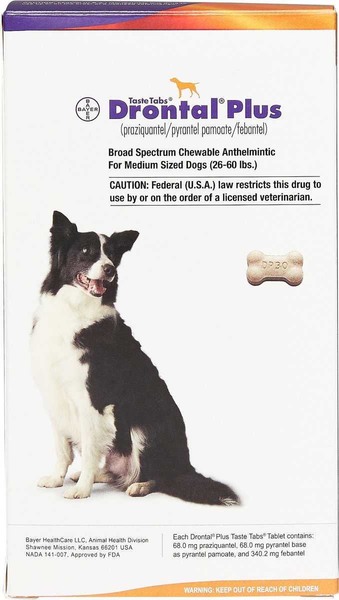 Drontal plus for dogs cheap flavor