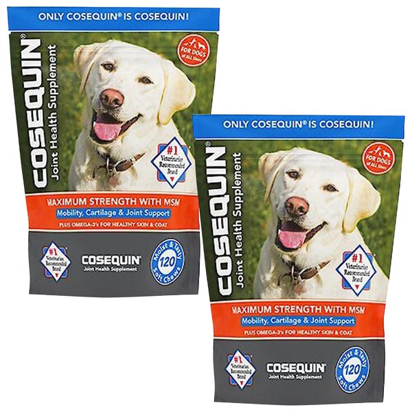 nutramax-dasuquin-joint-health-supplement-for-small-to-medium-dogs