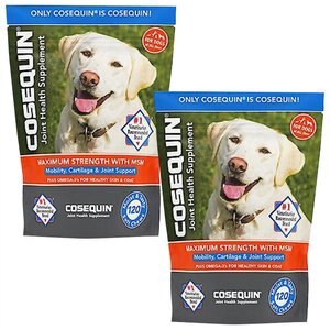 Nutramax Cosequin Max Strength with MSM Plus Omega 3's Soft Chews Joint Supplement for Dogs, 240 count