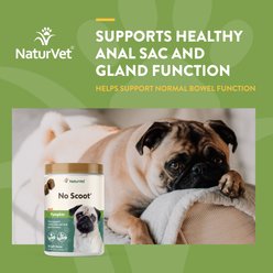 NaturVet No Scoot Plus Pumpkin Soft Chews Digestive Supplement for Dogs, 240 count slide 2 of 5