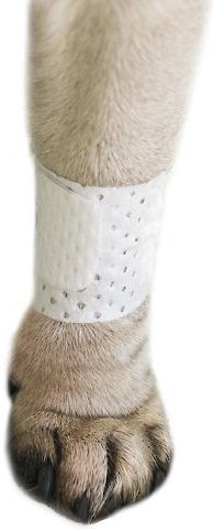 PawFlex Basic Disposable Dog Bandage, Medium, 12 count slide 1 of 9