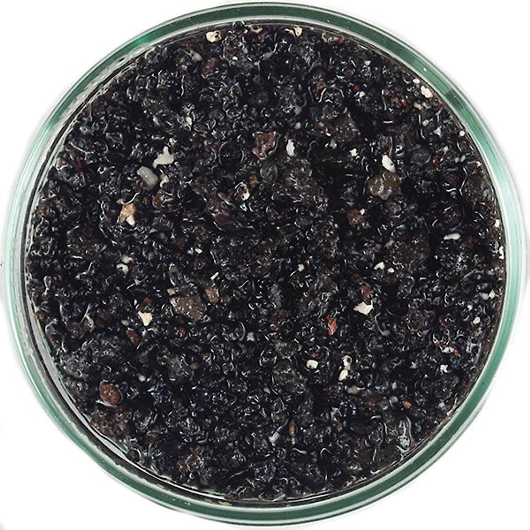 CaribSea Arag-Alive! Hawaiian Black Aquarium Sand, 20-lb bag