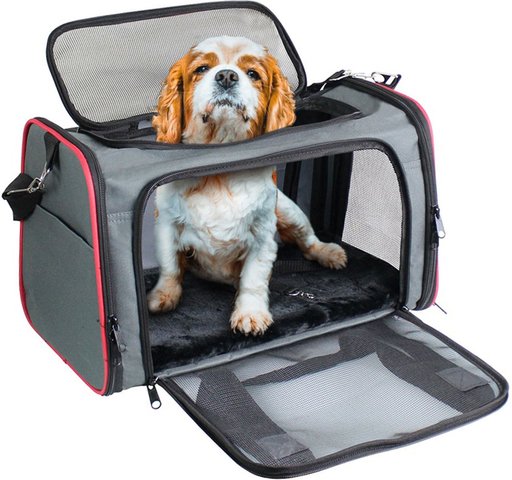 Jespet Soft-Sided Airline-Approved Travel Dog & Cat Carrier, Gray/Red, Medium/Large