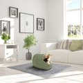 Jespet Cave Covered Cat & Dog Bed, Sage Green