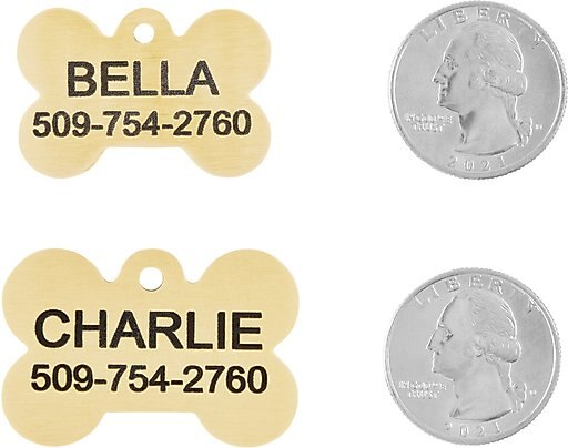 Frisco Brass Personalized Dog & Cat ID Tag, Bone, Regular