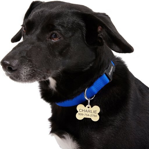 Frisco Brass Personalized Dog & Cat ID Tag, Bone, Regular
