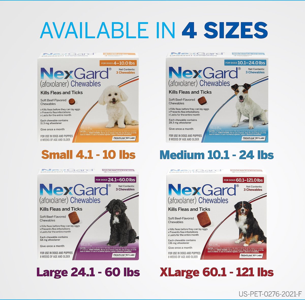 NEXGARD Chew for Dogs 10.1 24 lbs Blue Box 6 Chews bundle of