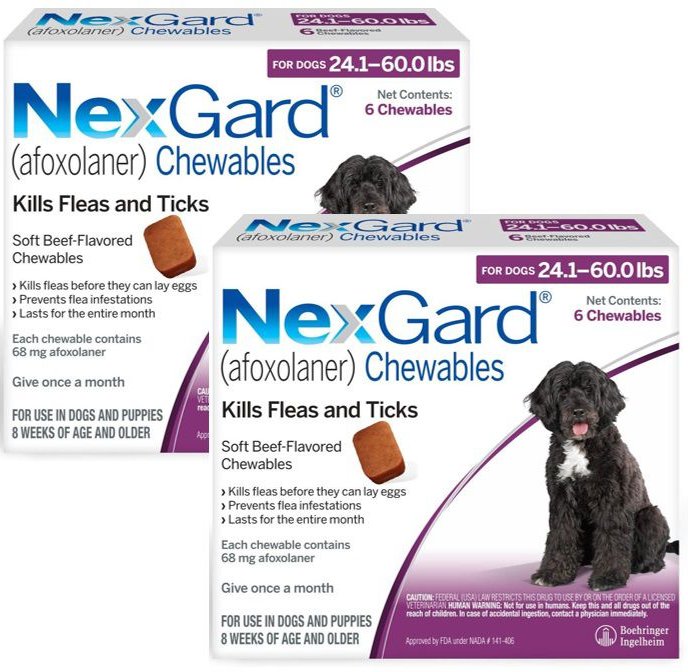 Nexgard 68 mg for 2024 dogs