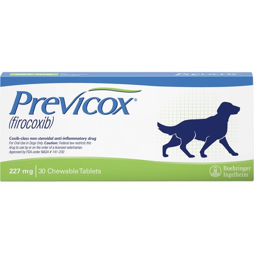 Previcox - Free shipping | Chewy