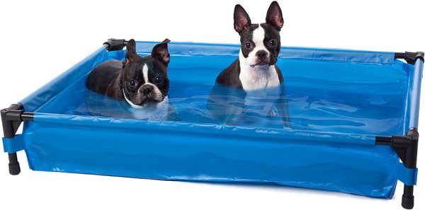 K&H Pet Products Dog Pool & Pet Bath, Blue, Large slide 1 of 8