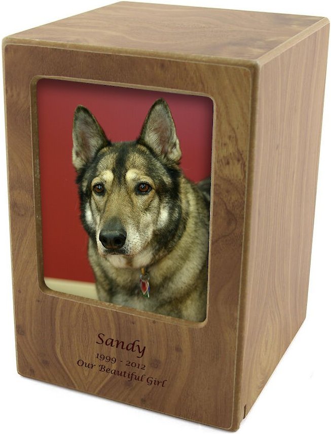 Chewy 2024 pet urns