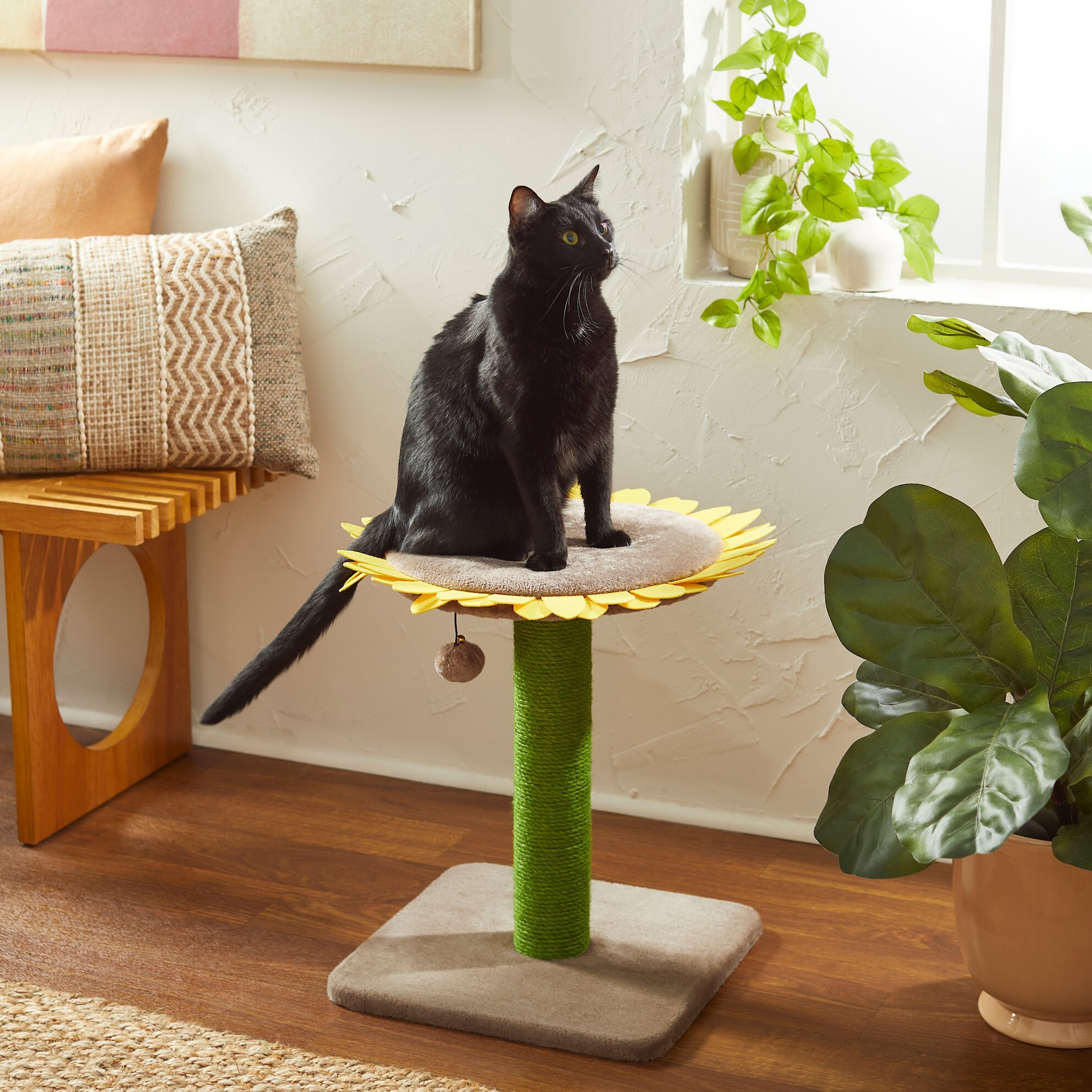 FRISCO Sunflower Cat Scratching Post, Single Post Customer Questions