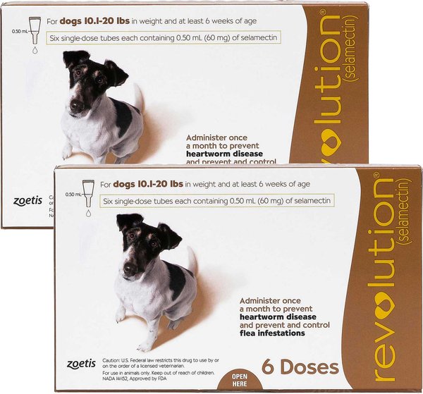 Revolution Topical Solution for Dogs, 10.1-20 lbs, (Brown Box), 12 Doses (12-mos. supply) slide 1 of 5