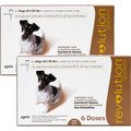 Revolution Topical Solution for Dogs, 10.1-20 lbs, (Brown Box), 12 Doses (12-mos. supply)