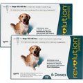 Revolution Topical Solution for Dogs, 40.1-85 lbs, (Teal Box), 12 Doses (12-mos. supply)