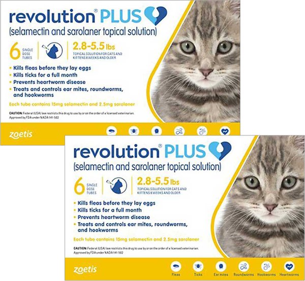 Revolution Plus Topical Solution for Cats, 2.8-5.5 lbs, (Gold Box), 12 Doses (12-mos. supply) slide 1 of 5