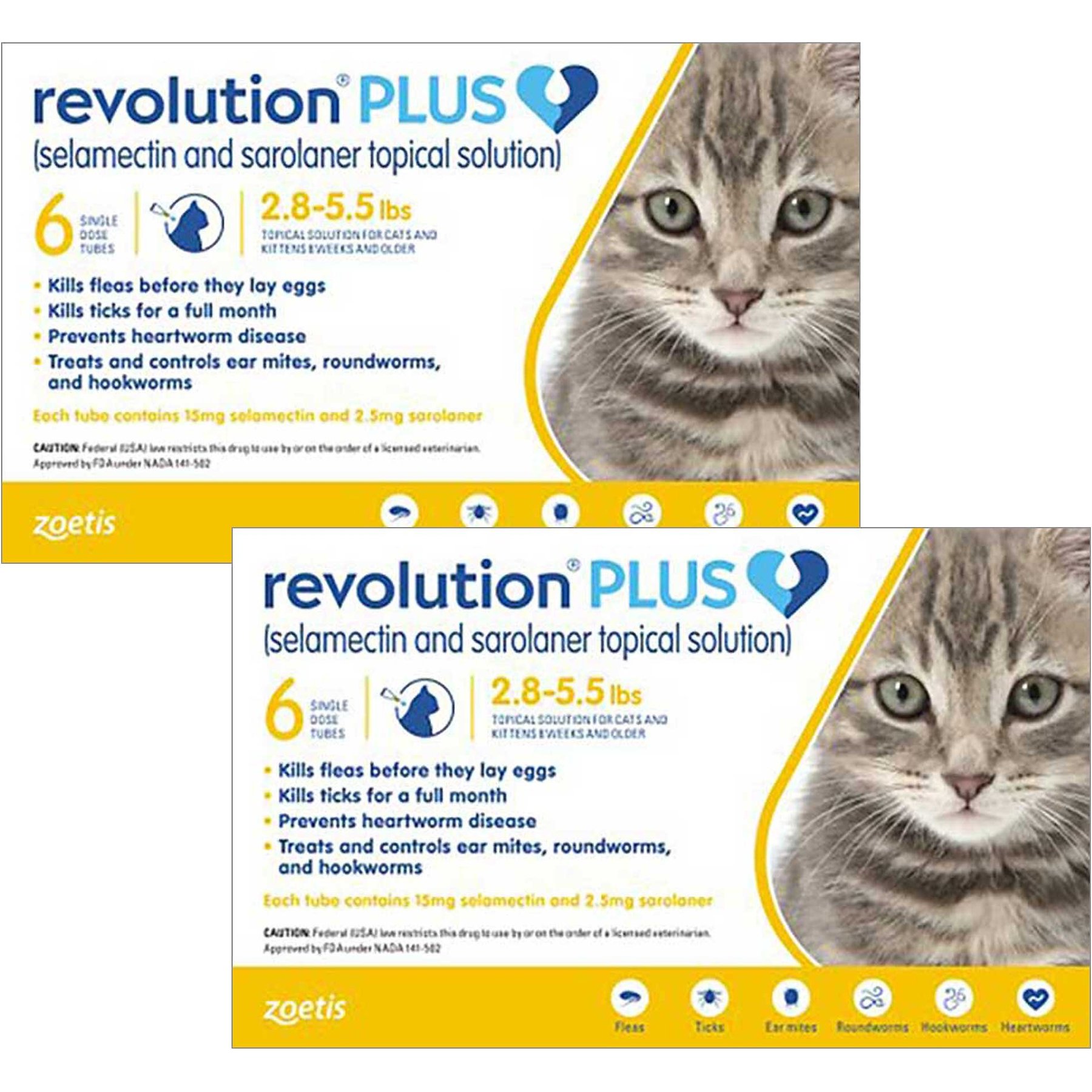 Revolution plus hot sale for kittens