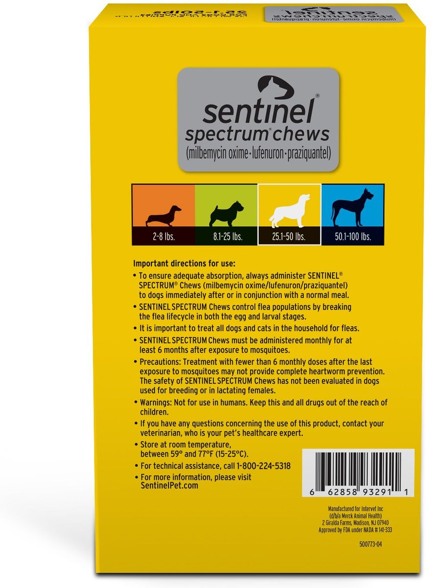 Sentinel yellow for clearance dogs