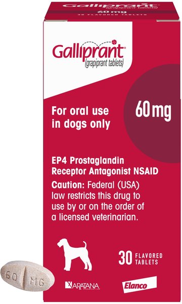 Galliprant (grapiprant) Tablets for Dogs, 60-mg, 30 tablets slide 1 of 12