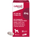 Galliprant (grapiprant) Tablets for Dogs, 60-mg, 30 tablets