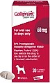 Galliprant (grapiprant) Tablets for Dogs, 60-mg, 30 tablets
