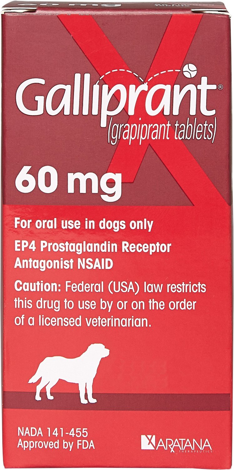 GALLIPRANT Tablets for Dogs, 60-mg, 60 tablets - Chewy.com