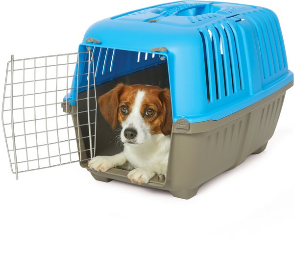 MidWest Spree Plastic Dog & Cat Kennel, 24-in, Blue slide 1 of 7