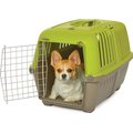 MidWest Spree Plastic Dog & Cat Kennel, 24-in, Green