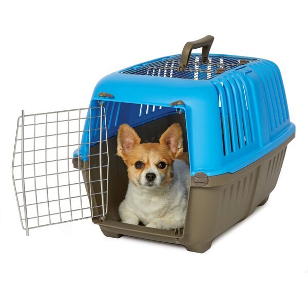 PETMATE Top Load Cat Kennel, Pearl Green Forest/Black