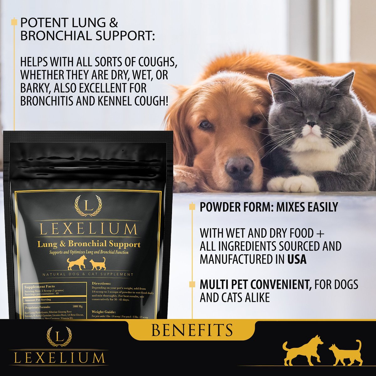 Supplements for sale dog bronchitis