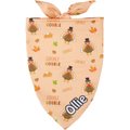 Frisco Quirky Thanksgiving Personalized Dog & Cat Bandana, Small