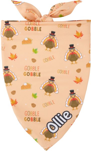 Frisco Quirky Thanksgiving Personalized Dog & Cat Bandana, Large slide 1 of 7