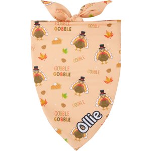 Frisco Quirky Thanksgiving Personalized Dog & Cat Bandana, Large