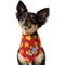Show in main carousel: Frisco Fall Leaves Personalized Dog & Cat Bandana, Medium slide 7 of 9