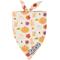 Show in main carousel: Frisco Pumpkin Spice Personalized Dog & Cat Bandana, Medium slide 1 of 9