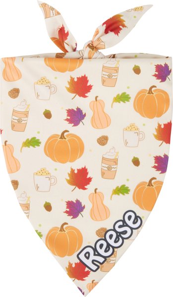 Frisco Pumpkin Spice Personalized Dog & Cat Bandana, Large slide 1 of 7