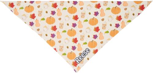 Show full view: Frisco Pumpkin Spice Personalized Dog & Cat Bandana, Large slide 5 of 10