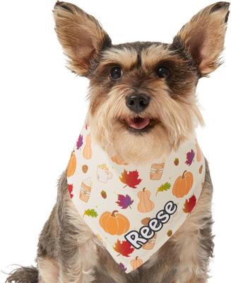 Show full view: Frisco Pumpkin Spice Personalized Dog & Cat Bandana, Large slide 8 of 10