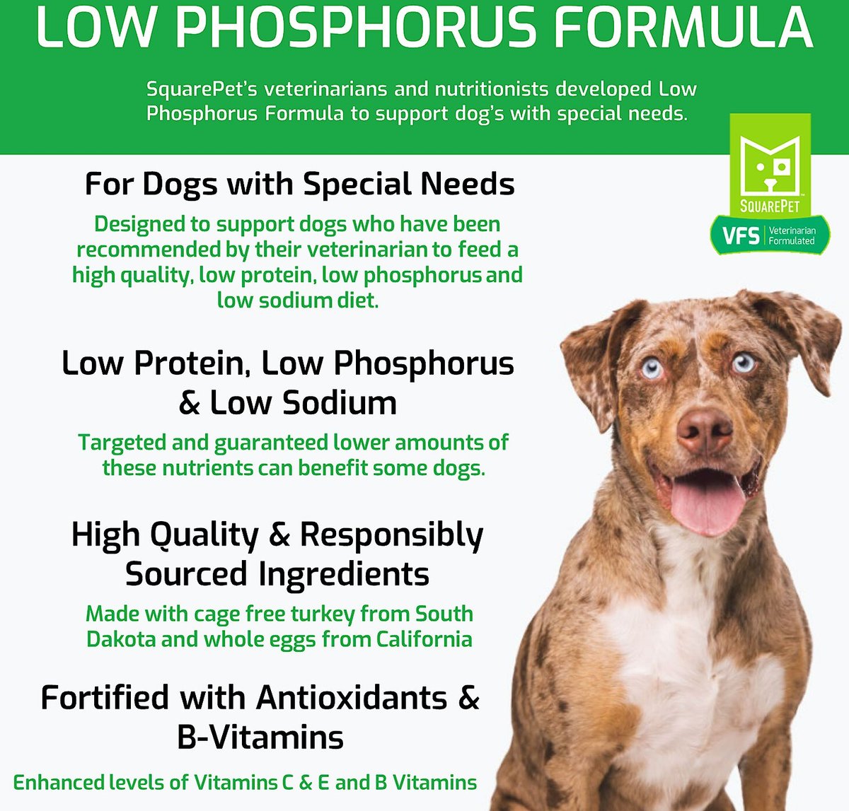 VFS® LOW PHOSPHORUS FORMULA Small Bag