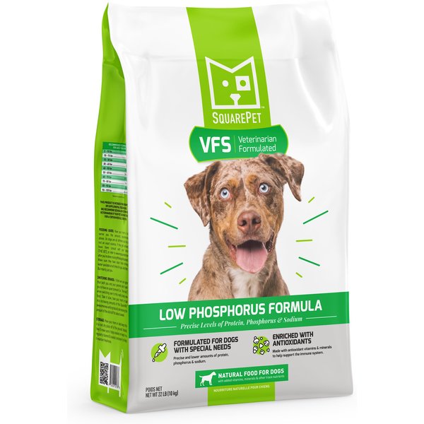 list of foods low in phosphorus for dogs