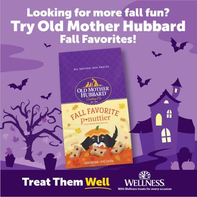 Show full view: WHIMZEES by Wellness Halloween Dental Chews Natural Grain-Free Dental Dog Treats, Medium, 6 count slide 9 of 13