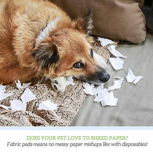 Green Lifestyle Reusable Dog Pee Pads, 34 x 36, 6 count