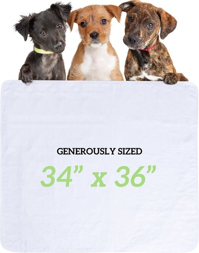 Green Lifestyle Reusable Dog Pee Pads, 34 x 36, 6 count