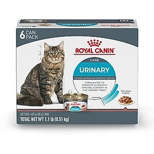 Royal Canin Feline Care Nutrition Urinary Care Thin Slices in Gravy Canned Cat Food, 3-oz, case of 6