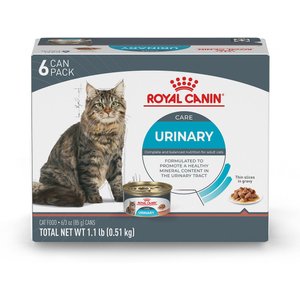 ROYAL CANIN Feline Care Nutrition Weight Care Adult Thin Slices in