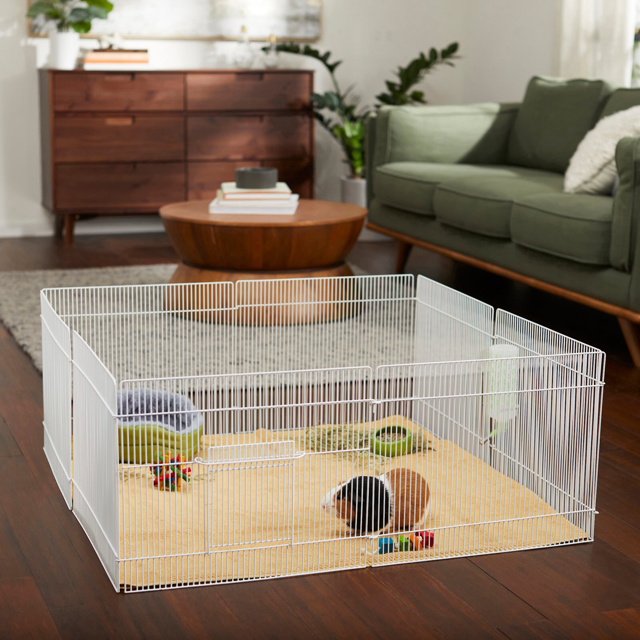 FRISCO Wire Small Pet Playpen with Door, 15in Customer Questions