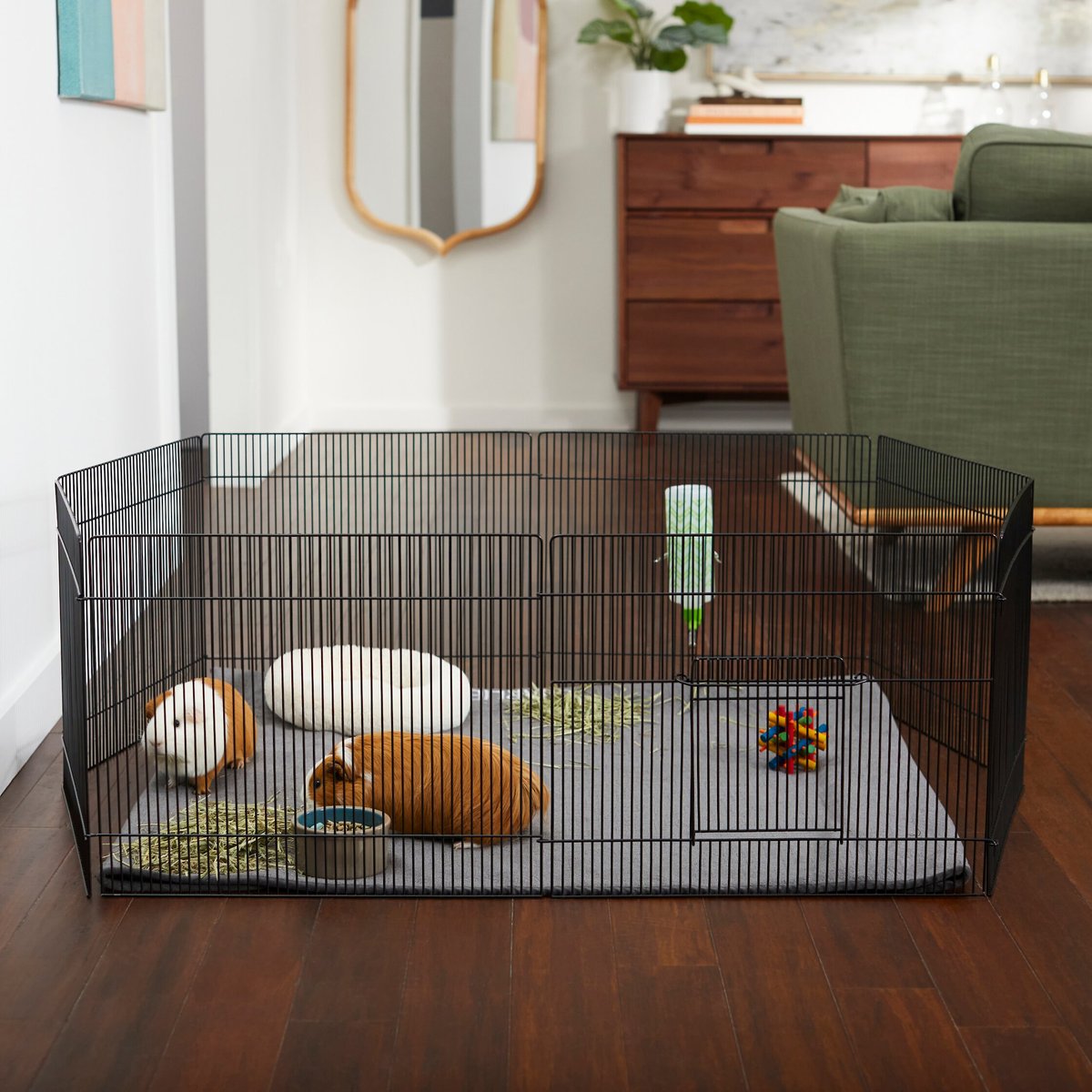 Guinea Pig Cage recommendations for 2 piggies that is similar but