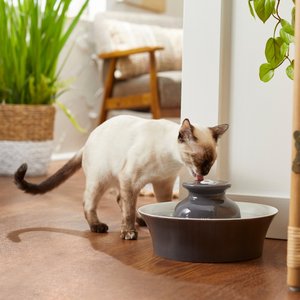 Frisco Ceramic Dog & Cat Fountain, Gray, 64-oz