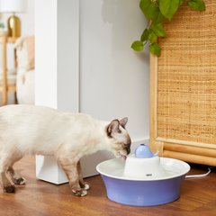 Frisco Ceramic Dog & Cat Whale Water Fountain, Blue, 64-oz
