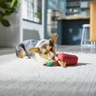 Frisco Brunch Pancake & Waffle Disc Plush Squeaky Dog Toy